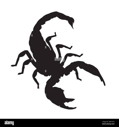 Vector Illustration Of Scorpion Silhouette Stock Vector Image And Art Alamy