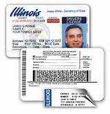 Michigan Drivers License Types Photos
