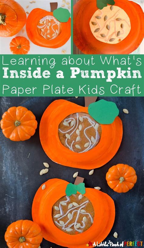 Learning About Whats Inside A Pumpkin Paper Plate Kids Craft