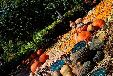 Dallas Arboretum Fall Festival Pictures Clumsy Crafter