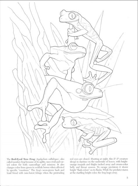 Camouflage coloring pages are a fun way for kids of all ages to develop creativity, focus, motor skills and. Camo Pages Coloring Pages