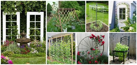 This pvc pipe trellis is another great example of the diy trellis idea. 10+ DIY Trellis Ideas For You Garden