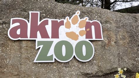 Free Admission To The Akron Zoo For Summit County Residents In September