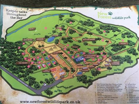 New Forest Wildlife Park Ashurst 2021 All You Need To Know Before