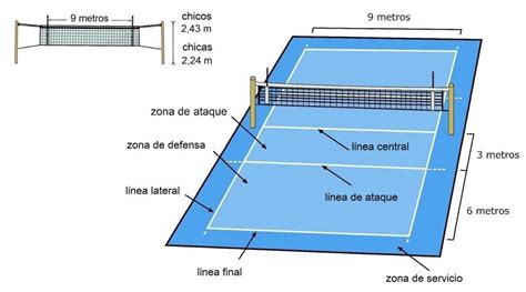 Defensa En Voleibol Zonas Tipos Y Todo Lo Que Necesita Saber