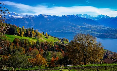 Fonds Decran Suisse Montagnes Lac Bernese Oberland Arbres Nature
