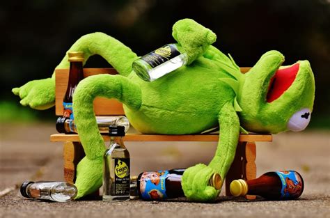 Kermit The Frog Plush Toy Free Image Peakpx
