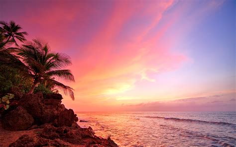 Wallpaper Sunlight Landscape Sunset Sea Shore Sky Plants Beach