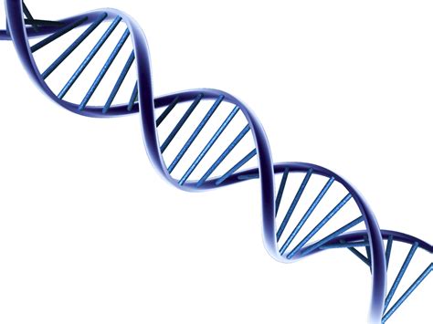 Dna Png Hd Image Png All Png All