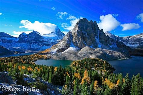 Mount Assiniboine Canada Beautiful Places To Travel Photo Photo