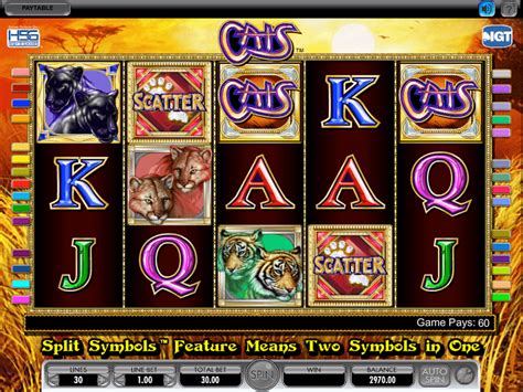 Cats Slot Machine Online For Free Play Igt Slots Game