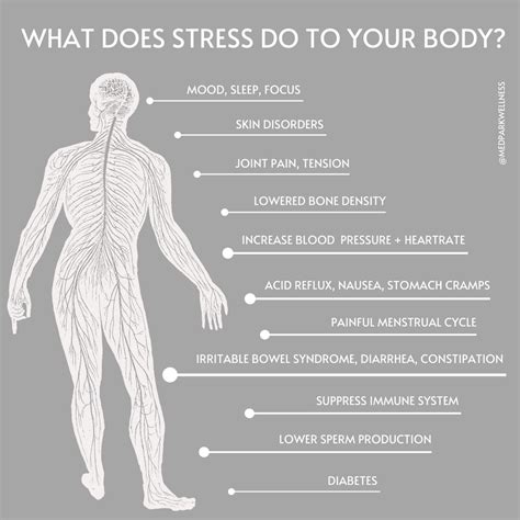 What Does Stress Do To Your Body