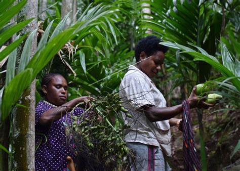 Perjuangan Mama Papua Di Pasar Mama Mama