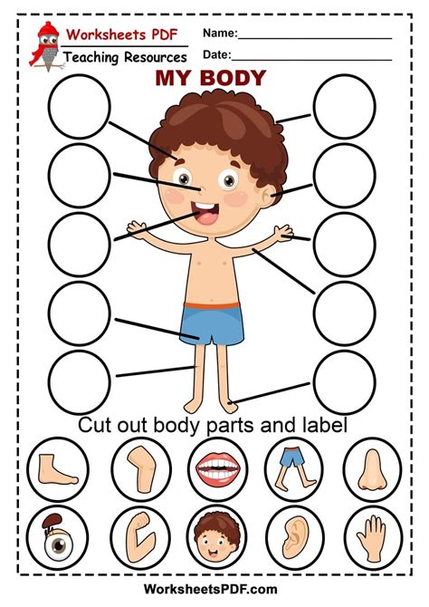 Pin By Mtra Anita 🍎 On Lnglés Educativo Body Parts Preschool Body