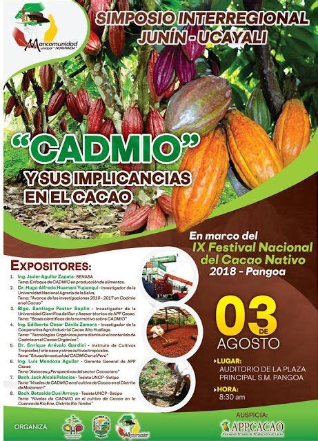 Investiga Innova Cacao Chocolate Research Innova Cocoa Chocolate La