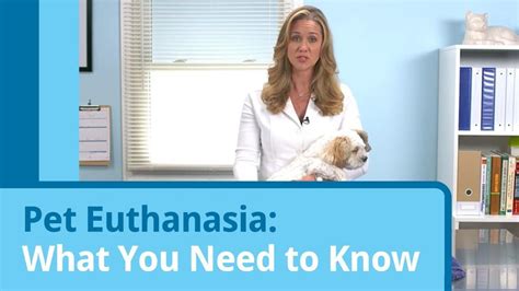 Pet Euthanasia What You Need To Know Youtube