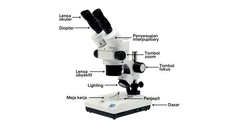 Mikroskop Jenis Dan Contoh Microscope Berkualitas Pt Yakin Maju Sentosa