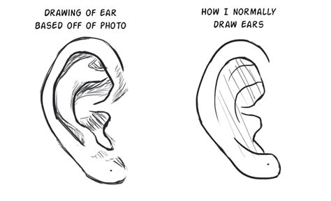 Ear Line Drawing At Explore Collection Of Ear Line