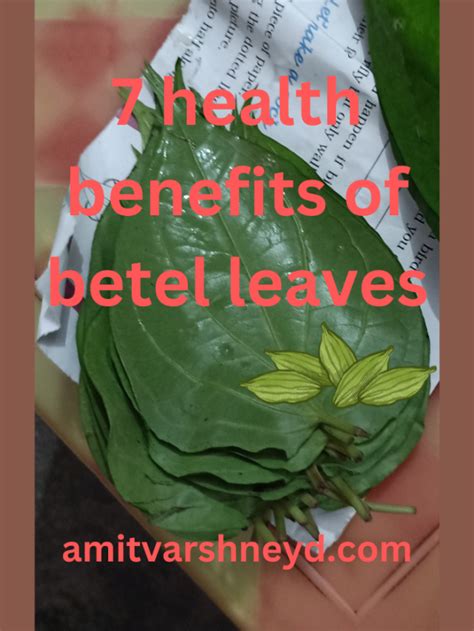 Seven Health Benefits Of Betel Leaf Amit Varshney Ad