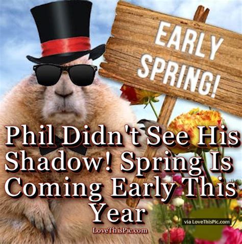 Groundhog Did Not See His Shadow Spring Is Coming Early Quote Pictures