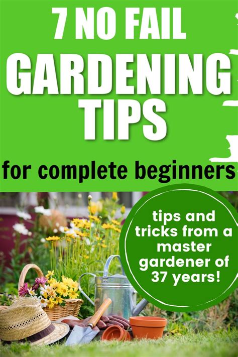 Easy Gardening Hacks Gardening Trends Organic Gardening Tips
