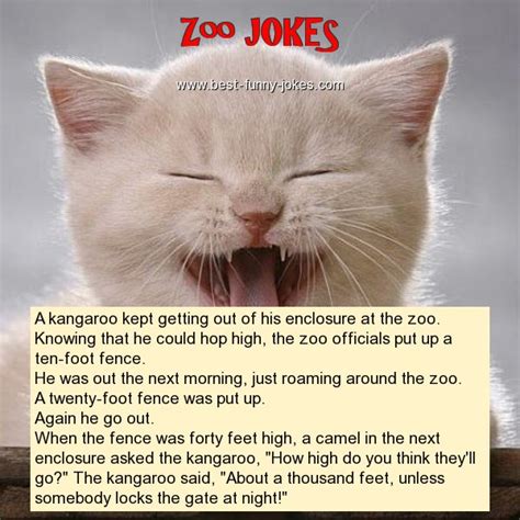 Zoo Jokes A Kangaroo Kept Gett
