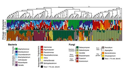 Scientists Uncover A Surprising World Of Microbes In Cheese Rind Wired