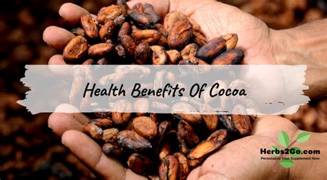 What Are The Health Benefits Of Cocoa Quora