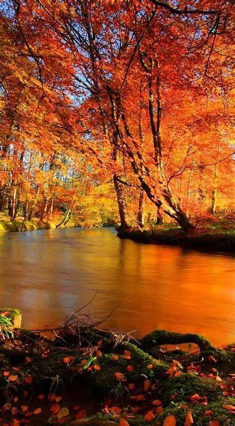 Gorgeous ♥ Scenery Autumn Scenes