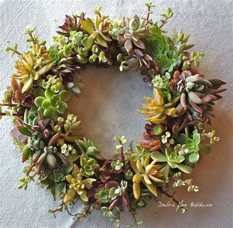 Make A Succulent Wreath Step By Step Debra Lee Baldwin