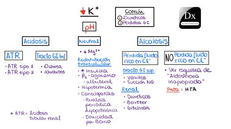 Hipokalemia The Clinical Problem Solvers