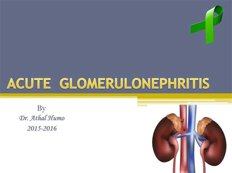 Acute Glomerulonephritis Ppt