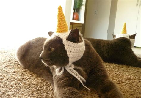 Cat Hat Crochet Pattern Cat Costume For Cat Unicorn Hat For