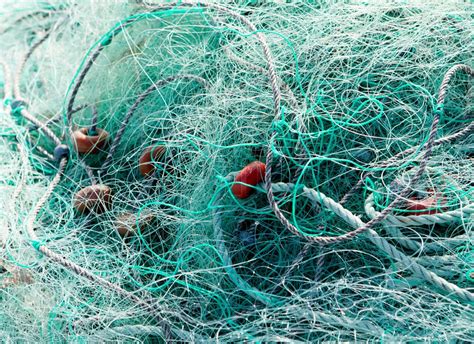 Tangled Green Fishing Nets Stock Image Colourbox