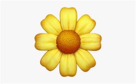 Daisy Flowers Emoji Copy And Paste Home Alqu