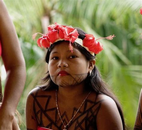 Panamas Indigenous Groups Take Land Fight To The International Stage