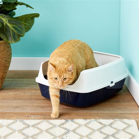 Best Litter Box For Cats Who Throw Litter Cat Meme Stock Pictures And