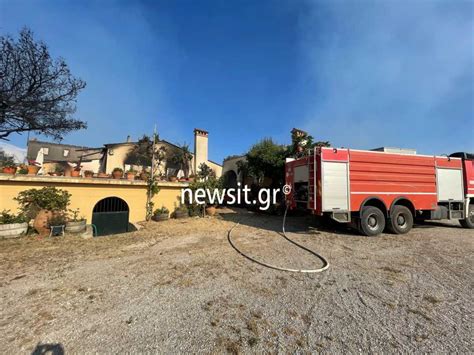 Μεγάλη φωτιά είναι από το μεσημέρι σε εξέλιξη σε δασική έκταση στην περιοχή κεχριές. Φωτιά στην Κορινθία: «Κάρβουνο» γνωστό οινοποιείο ...