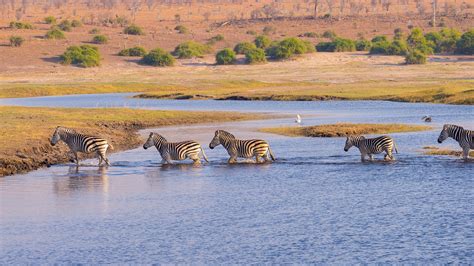 Serengeti Tanzania - The Sustainable Travel