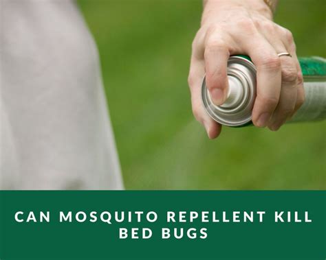 Can Mosquito Repellent Kill Bed Bugs Zero Pest Ng