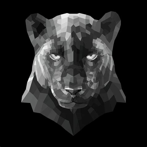 Night Panther Digital Art By Naxart Studio Fine Art America