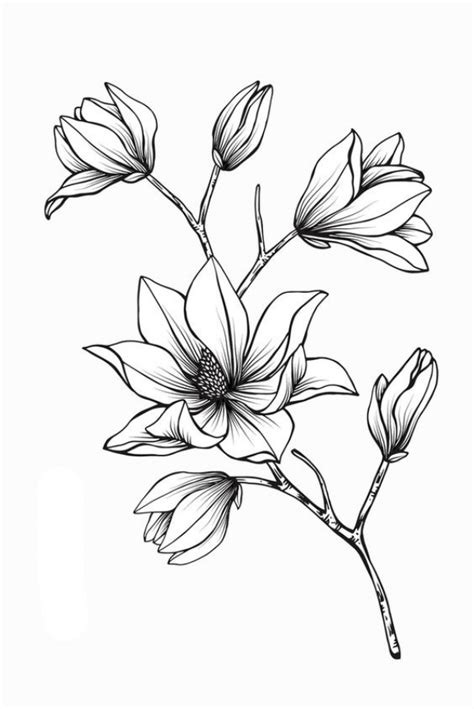 42 Simple And Easy Flower Drawings For Beginners Cartoon District