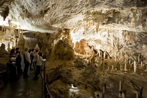 Postojna Cave Slovenia Wonder Of Nature