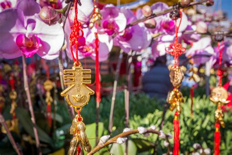 For traditional chinese new year decorations instead of shiny red christmas balls we have shiny red lanterns, orange and this is why decorating with plants, fruits and blooming flowers carries special significance. Guide to Chinese New Year etiquette — Time Out Hong Kong