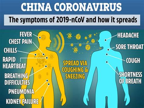 There are three main symptoms of coronavirus. Coronavirus: Symptoms, treatment and prevention