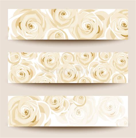 Vector Set Of Three Banners With White Roses Stock Vector