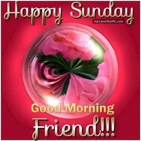 Happy Sunday Good Morning Friend Pictures Photos And