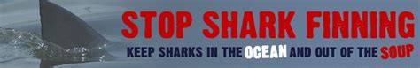 Impacts Of Shark Finning Stop Shark Finning