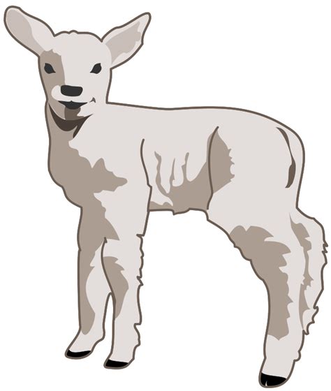 Lamb Png Clipart Png Image Collection