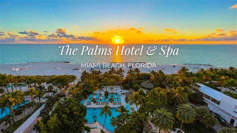 The Palms Hotel And Spa Miami Beach Award Winning Sustainable